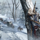 Illustration for article titled GameStop Cancels All Midnight Openings For emAssassins Creed III/em In The Northeast